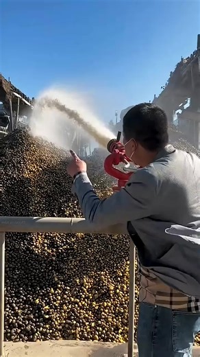 Farming Techniques for Sandy Soil