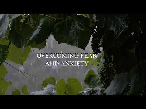 Scriptures on Fear and Anxiety | Solace