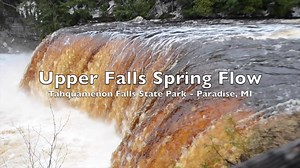 61K views · 573 reactions | The Upper Falls is flowing at 30,000 gallons of water per second. Only patches of snow remain in the woods - now is a great time to visit if you want to avoid the crowds (and mosquitoes)! | Tahquamenon Falls State Park | Facebook