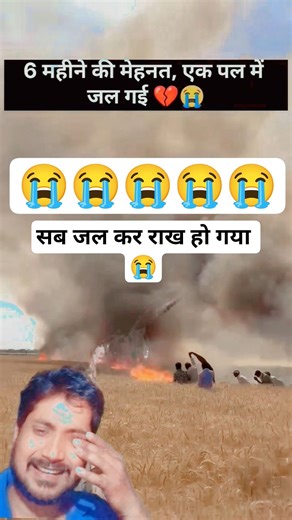 किसानों की 6 महीने की मेहनत पल भर में राख हो गई 😭💔 #shorts #farming #fire #wheat #farmer #youtube