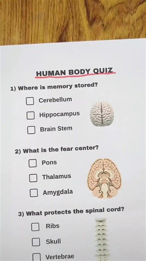 Challenge Your Knowledge with This Human Body Quiz