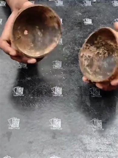 DIY Coconut Shell Home Decoration Ideas