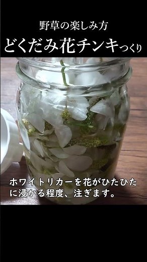 ドクダミ花チンキをつくろう～雑草を活用しよう