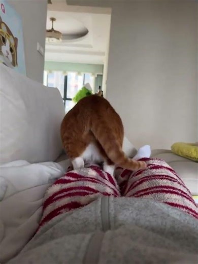 Relaxed Leg Muscles: The Ultimate Stretching Routine Unveiled