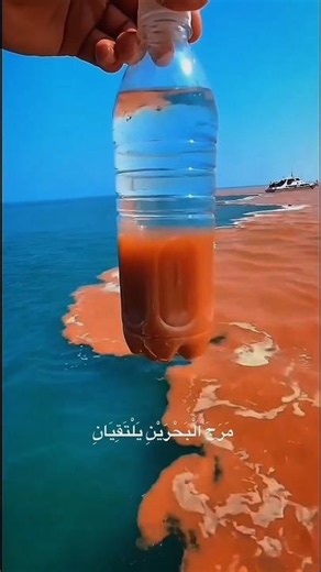 استخدموا الصوت ❤️ \\\\{"simpleText":"Sign in"}{"simpleText":"Sign in"}{"runs":[{"text":"Save"}]}Want to watch this again later? #shorts #quranHujaifa mahmud official {"simpleText":"Personalized"}{"simpleText":"None"}{"runs":[{"text":"Unsubscribe"}]}Hujaifa mahmud official ?Hujaifa mahmud official ?Comments1:52:44{"content":"249K views"}{"content":"3 months ago"}9:58{"content":"7.4M views"}{"content":"1 month ago"}22:59{"content":"4M views"}{"content":"4 months ago"}1:45:12{"content":"Inner Peace