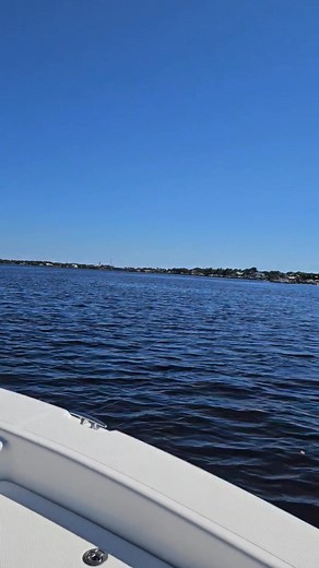 Ryan Johnson on Reels