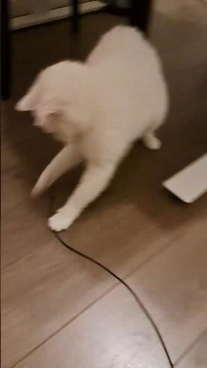 Attacking his favourite string