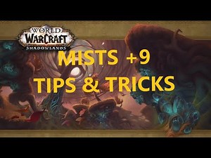 +9 Mists of Tirna Scithe! | Full Dungeon - Tips & Tricks!