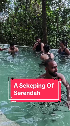 Full video at youtube 🍃 link at bio A piece of snippet from Sekeping Serendah 2024’ #malaysiatrending #malaysiatravel #sekeping #reeloftheday #nature #vlog #indians