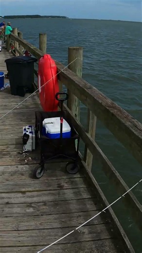 Stringer of Fish VA pier Fishing