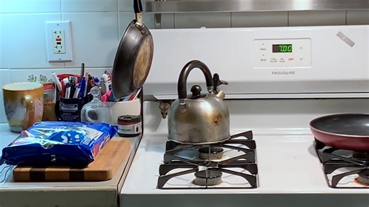 Stealthy Mouse Steals a Cookie From Kitchen Counter