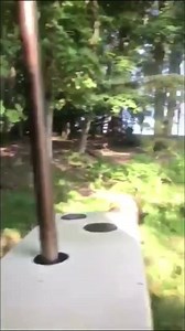 159K views · 1.8K reactions | UN CERF QUI ATTAQUE UN TRACTEUR... La...