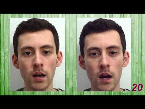 The McGurk Effect