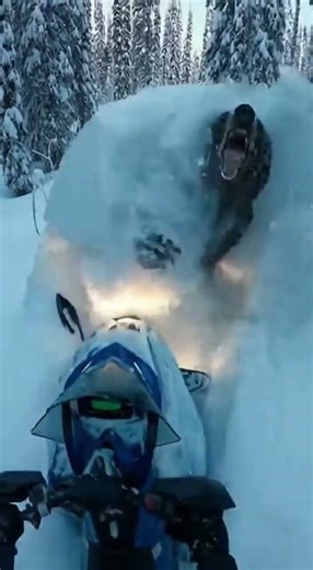 Snowmobile Escape From a Charging Bear!