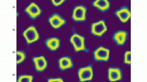 Lenia连续元胞自动机：稳态到临界态