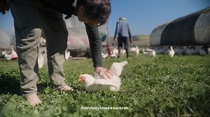 3.5K reactions · 96 shares | "We have to improve things – regenerate them and make them better." Meet Farmer Angus, a revolutionary force in regenerative agriculture. Through daily cattle rotations he’s building carbon-rich soils and crafting a future where nutrient-dense food and thriving ecosystems grow together. Watch the full film 'It Starts in the Soil' here: https://www.spier.co.za/growing-for-good #spier #spierwinefarm #spiergrowingforgood | Spier Wine Farm | Facebook