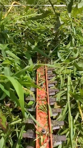 Making Hay the Handheld Way