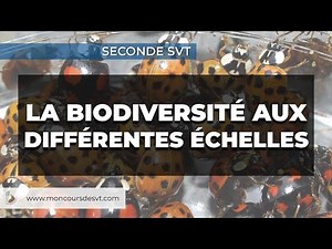 The Scales of Biodiversity - Second Year Life and Earth Sciences