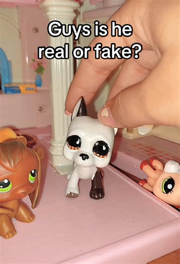 Real vs Fake: LPS TikTok Drama Unveiled