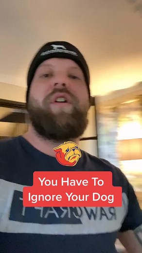 How to Stop Your Dog from Whining and Barking | Dog Training Tips