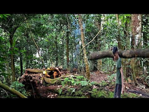 Building a Warm Primitive Shelter Beneath the Rotten Tree