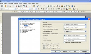 Comment mettre Ubisoft en français ? – SOS Ordinateurs : Guides, Trucs & Astuces pour booster votre ordinateur
