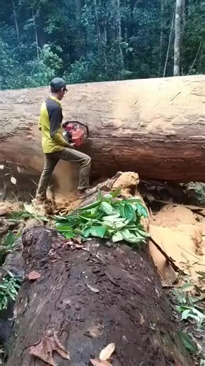 Biarpun lelah tetap kita jalani sebagai operator sensor Salam Satu profesi | Sar Muji