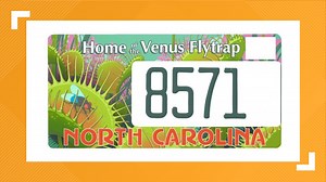 Specialty NC license plate created to help save the Venus flytrap