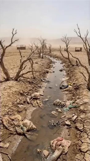 #create search inside