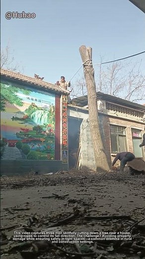 Smart Tree Felling Technique: Prevent Disaster with Rope & Teamwork