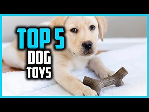 ✅ Top 5 Best Dog Toys 2026