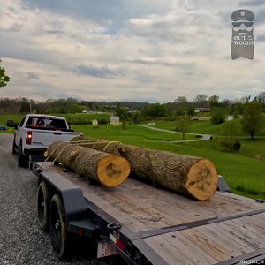 101K views · 957 reactions | Turning FREE Logs Into Lumber | Out of the Woods Forestry | Facebook
