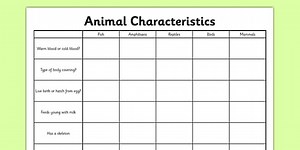 Animal Characteristics Worksheet
