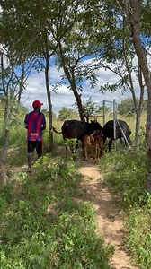 Finally home 😍 Gogo va Tj ululating with happiness 😍❤️ | Tytie