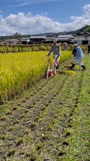 Automatic agricultural machine 💯 #agriculturalmachines #smart #agriculturalengineer