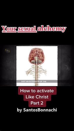 Your sexual alchemy a secret that is not taught to the collective or known ##santosbonacci##spiritualtiktok🧿##thegospelofthomas##stthomas##wakethewoke##pinealgland##HolidayOREOke##fypシ##thomasterry