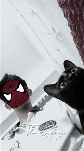 বিলাই🐱