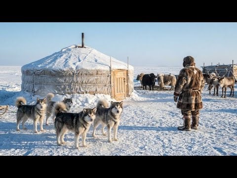 Life at −71°C in Siberia | How People Really Survive Extreme Winter