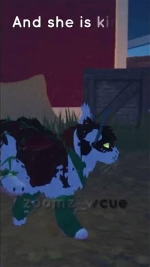 [ zoomz is a alien! ] | WCUE SKIT