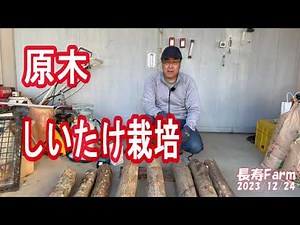 原木しいたけ栽培