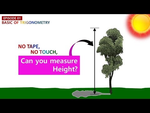 A Simple Shadow Method for Measuring Tree Height | Basic Trigonometry | Episode 01