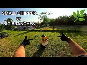 POV Shredding Huge Branches with a Small Garden Crusher 🌿 | Did I Break It? 🤔
