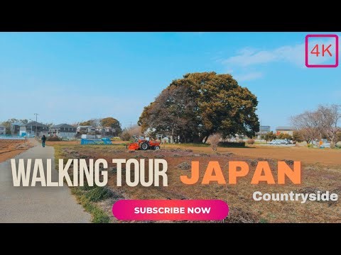 4K Japan | Walking Through Japanese Countryside with Calm Music