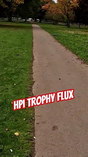 hpi trophy flux buggy 1/8 brushless scream motor rage esc 80a race buggy #hpiracing