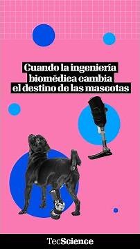 Investigadores mexicanos crean prótesis para animales con IA e impresión 3D