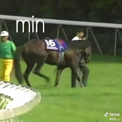 Rice Shower was a beloved Japanese racehorse whose death in 1995 was a major tragedy in Japanese racing, dying from a severe leg fracture sustained during the Takarazuka Kinen at Kyoto Racecourse #CapCut #umamusume #fyp #viral #umamusumeprettyderby @𝘴 𝘶 𝘮 𝘮 𝘦 𝘳 💌 @styli5t