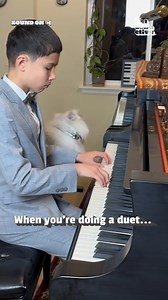 57K views · 429 reactions | This is that one scene from the aristocats! 藍 (Via - Shaoming G.) #Cats #Piano #Funny #PianoAudition #Fail #CatLovers | Try Not to Laugh | Facebook