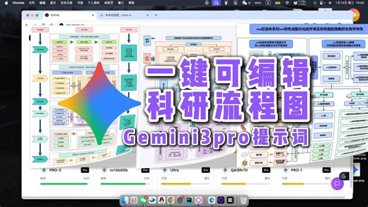 可编辑的科研流程图 30 秒学会