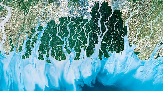 Open University commissioning