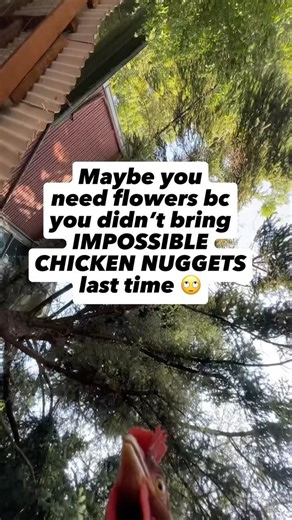 Impossible Foods on Instagram: "Impossible Chicken Nuggets > flowers. #ImpossibleChickenNuggets"